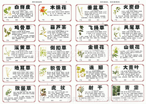 下一个> 本产品为新版978和660味正版镀膜规范正名中药名称不干胶