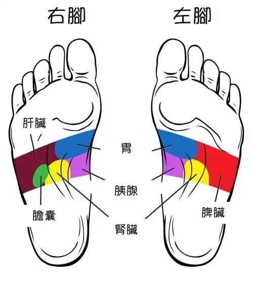 脚底要按摩这「21个部位」身体才会越来越健康,每天5分钟很快就会感受