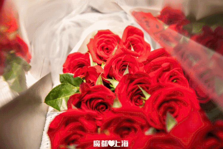 《魔都圣诞节反凡尔赛送礼指南》|玫瑰|roseonly|玫瑰花_网易订阅