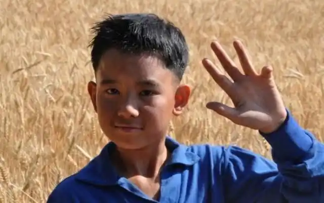 而对于一度引起网络热议的《百鸟朝凤》,观众给予胡先煦的评价则是"把