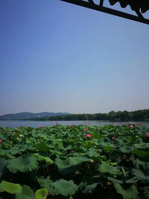 杭州西湖美景