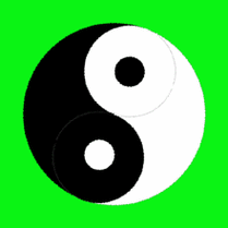 太极转动绿色背景熊猫眼gif动图_动态图_表情包下载_soogif