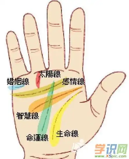 什么叫二婚线女人左手这手相有二婚线或者离婚线吗