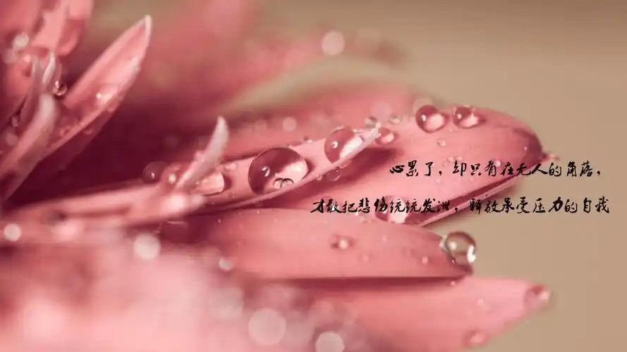 一个人心累了伤感带字图片