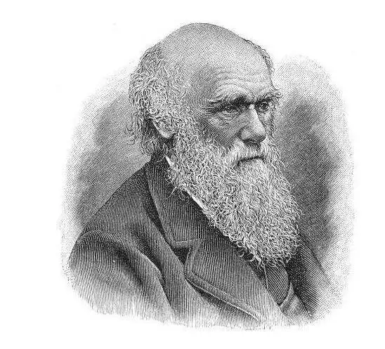 你了解达尔文的求实精神吗?