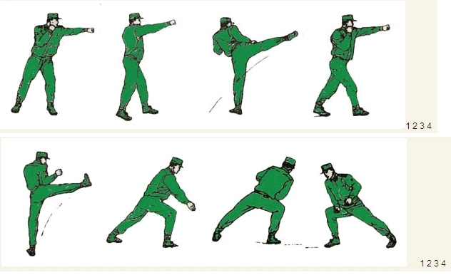 武警擒敌拳整体动作详细分解