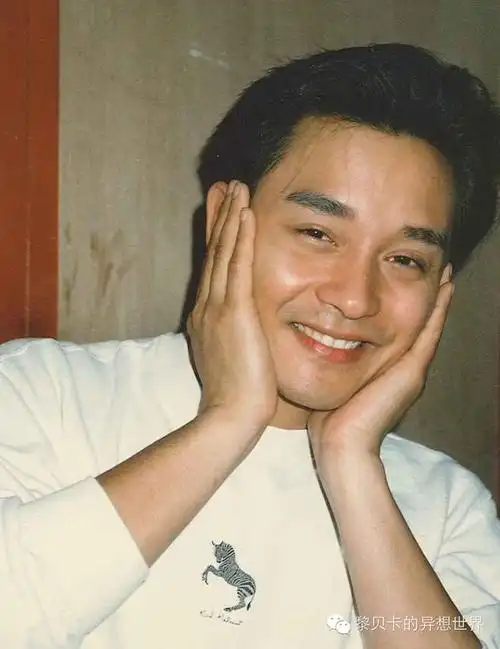 记住哥哥的笑:春天该很好,你若尚在场