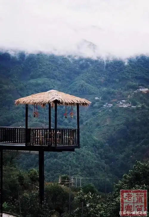 篱笆老寨带广西茶友冰岛老寨一日游,亲身体验冰岛的魅力