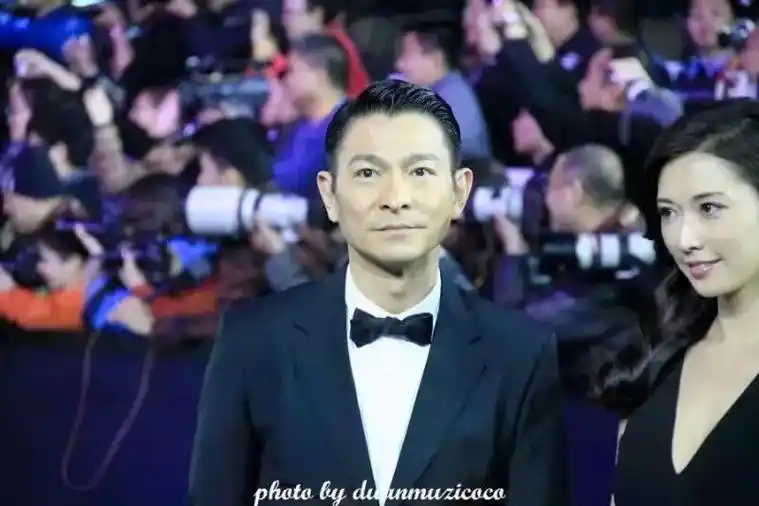 十年前拍的刘德华与林志玲