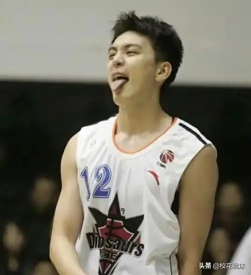 cba最帅颜值最高的球员是谁(杨鸣最帅照片)_04447排行网