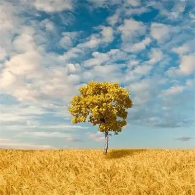 高清正能量励志风景头像图片大全 正能量励志配图可用做背景图