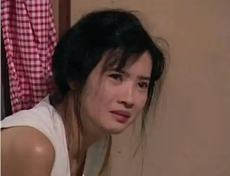 谁来给被性侵的蓝洁瑛一个交代?