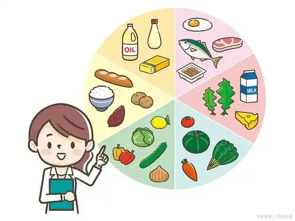 健康出行的饮食之道:规律饮食,控制糖分