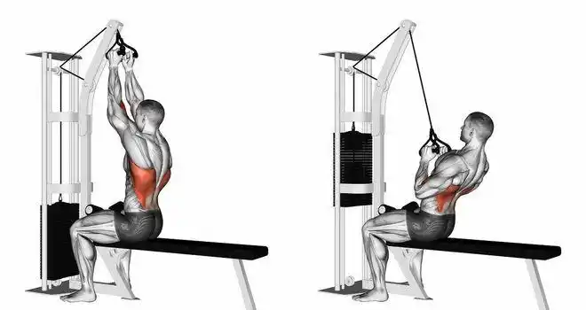 斜方肌的锻炼方法,做好4个器械动作,增加上背部肌肉厚度