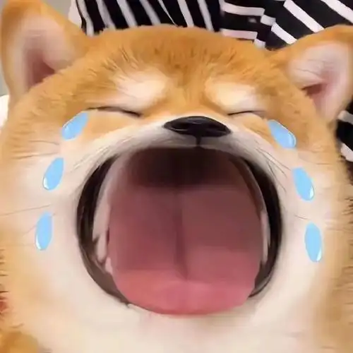 沙雕表情包,可爱到爆表!