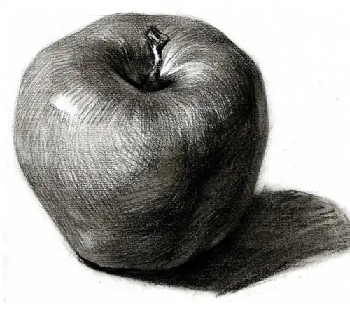 静物素描的搜索结果_百度图片搜索