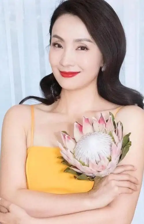 夫妻同林鸟对不起陶虹这次救不了徐峥