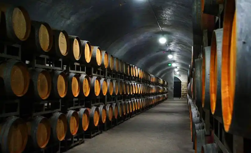 张裕红酒酒窖