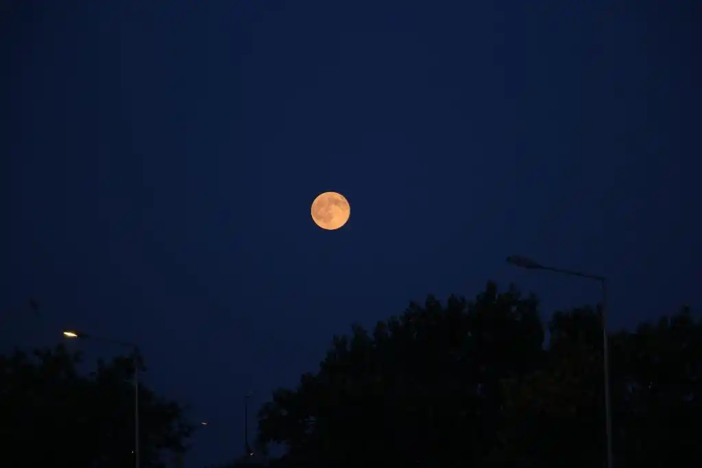 月亮,黑暗,天空,晚上,光,夜晚的天空,黑色