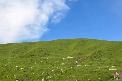 中国四川阿坝州红原县高山草甸草原风光