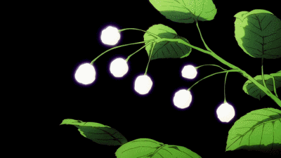 动态- 堆糖,美图壁纸兴趣社区