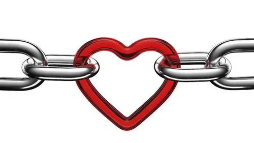 金巴布:致力于服务早教每个环节!