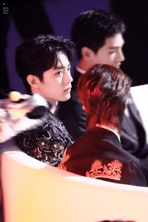 肖战 王一博 星光大赏