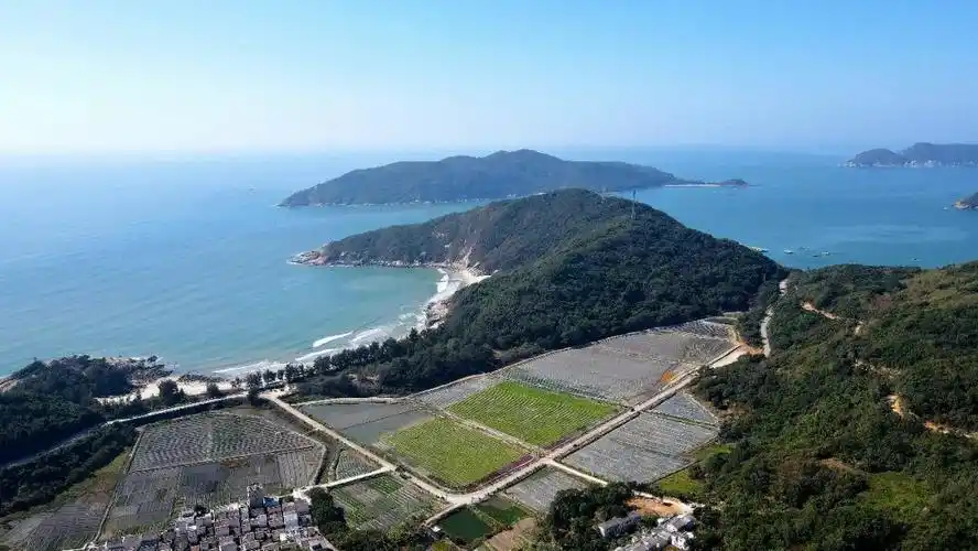 大片的油菜花,春暖花开,春光明媚,下川牛塘现代生态农业种植基地:△沿