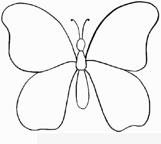 画蝴蝶教程简笔画画蝴蝶教程简笔画画蚂蚁怎么画画虫子怎么画