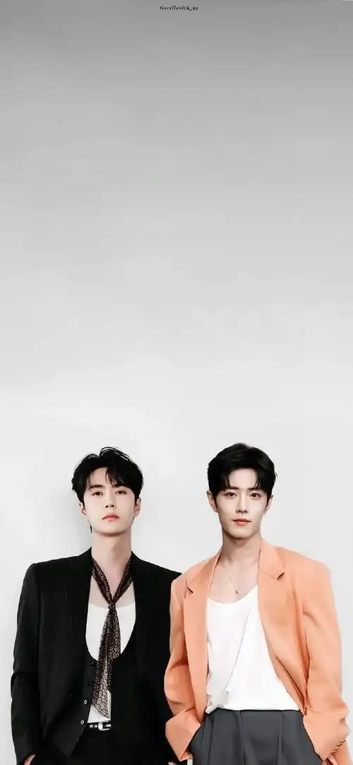 肖战##王一博##博君一肖##壁纸