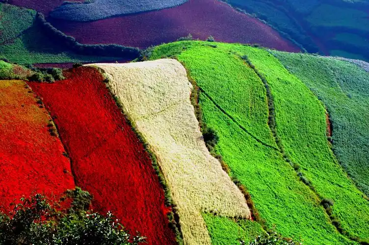 油画般的大地色彩 见证了它的魅力