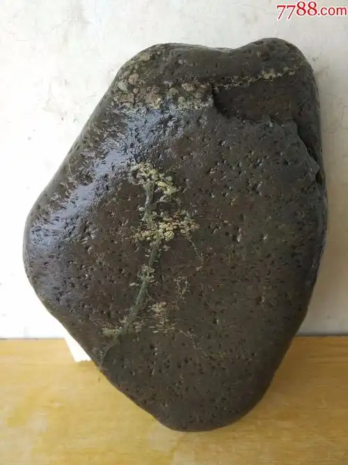 洛阳精品梅花石原石"古梅清幽暗香来"(酱色底石,古色梅花,别具一格)