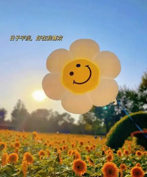 22个抖音很火的句子我尽力喜欢过但是聚散不由