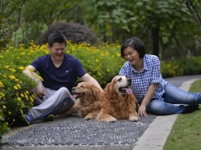 老公要照顾婆婆,就继续住在成都.