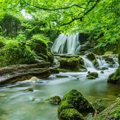 还能看到绿水青山更想亲近大自然_风景头像_美头网