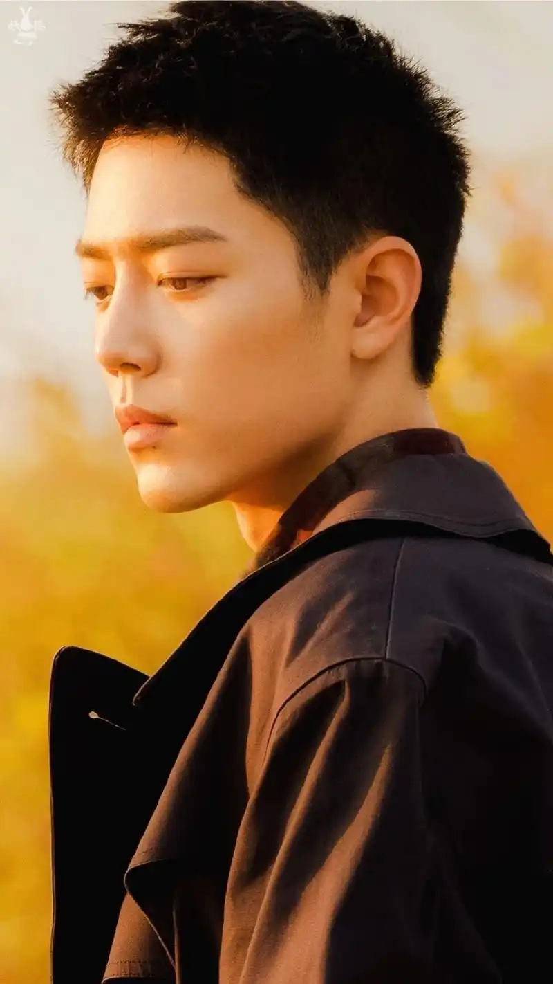 肖战壁纸这世界车水马龙而我只想陪在你身边