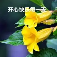 开心快乐每一天字图片