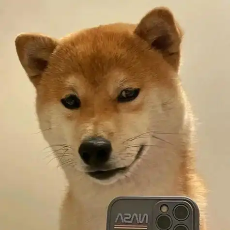 抖音搞笑狗狗头像