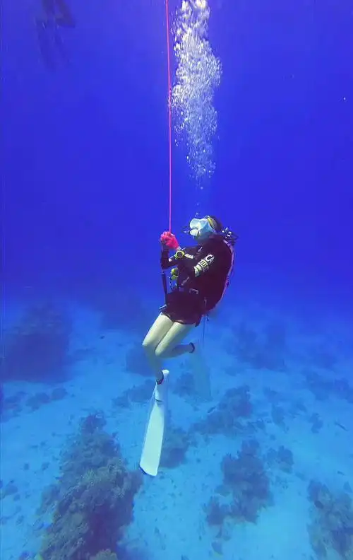 藏在深海里的毒——极具诱惑的潜水运动