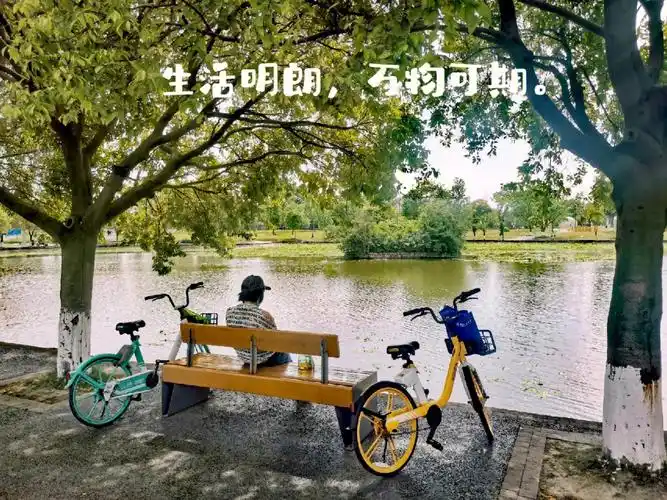 这是我判断一个地方好不好的金标准[doge]#生活明朗万物可爱  #记录