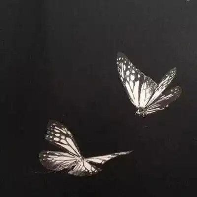 壁纸港味ins复古