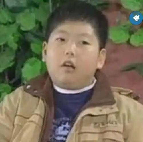 搜罗了情景喜剧演员半壁江山的《家有儿女初长成》你们看了吗?