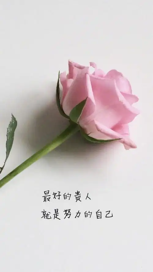 为你而写的超温柔句子,简短精致,适合发朋友圈|懂你|挚爱_网易订阅