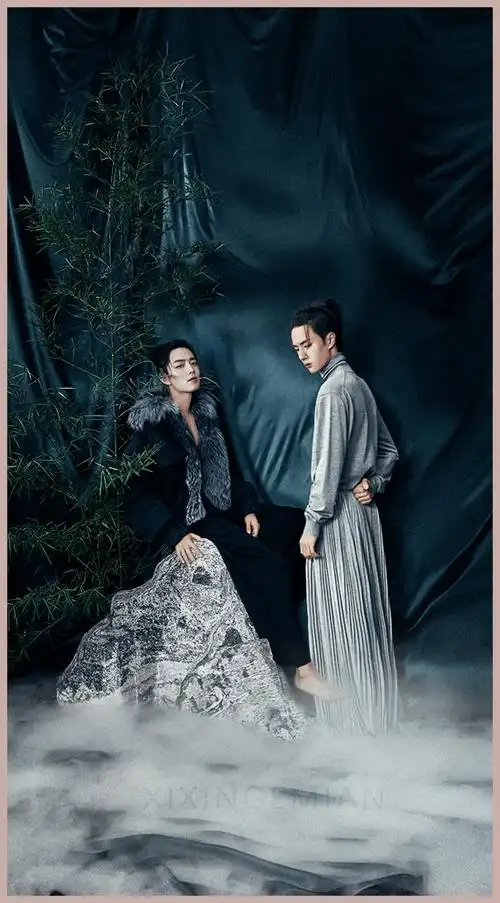 博君一肖肖战王一博