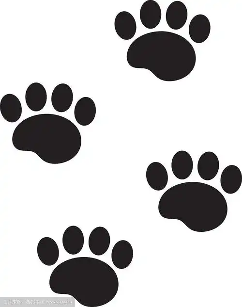 脚印的动物图标,平面,卡通风格.白色背景上有孤立的狗爪痕迹.