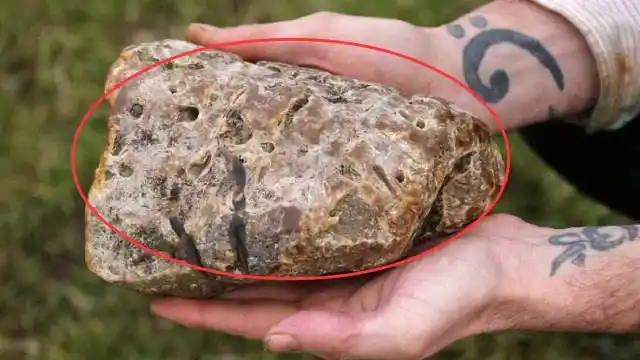 世界上最值钱"屎",一坨卖500万!捡到你这辈子都不用愁了!