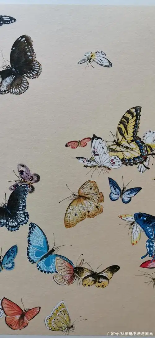 再画一幅绚丽多彩的百蝶图