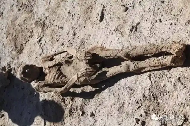 柴达木盆地现1700年干尸 容貌清晰胡须可见