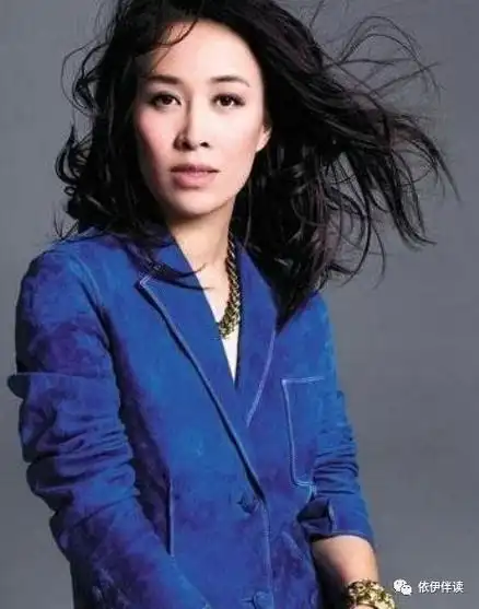 那英混乱的情史我追男人隔的不是纱是沙漠