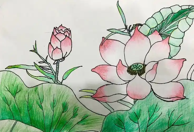 我爱画画2017年秋季班初级素描班学生作品欣赏.